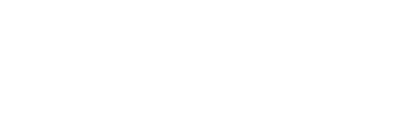 Gundog Journal