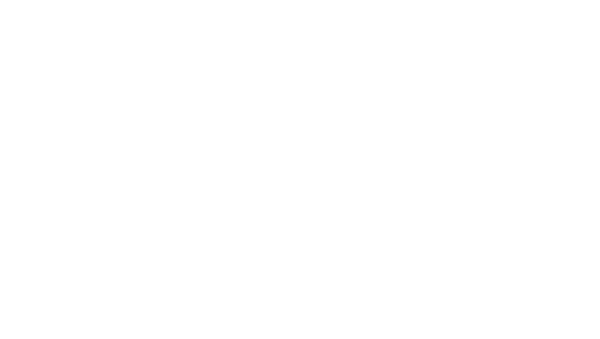 Sporting Gun
